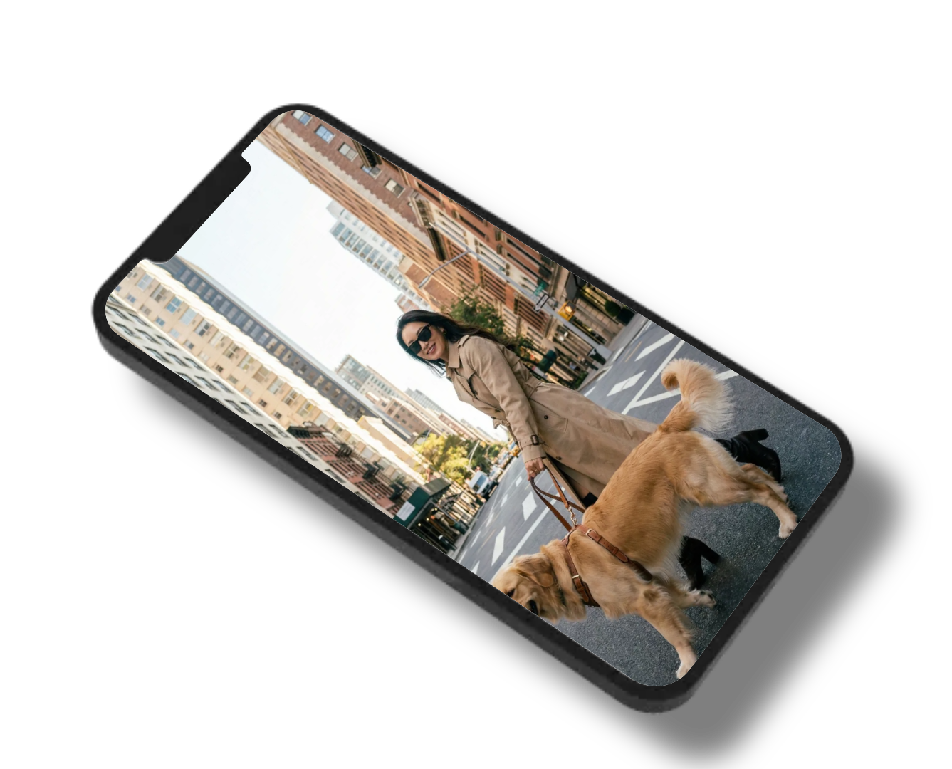 cre8pet app showcase